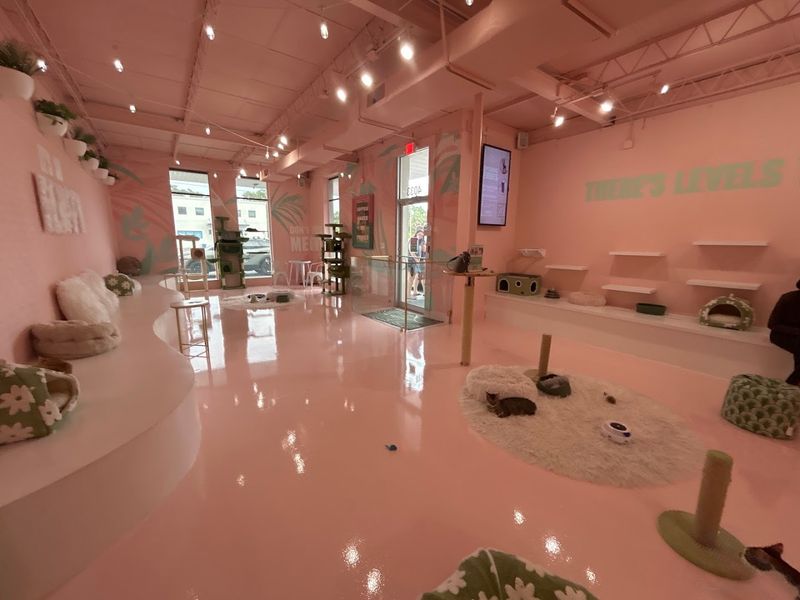 The Cozy Pink Atmosphere That Sets The Mood
