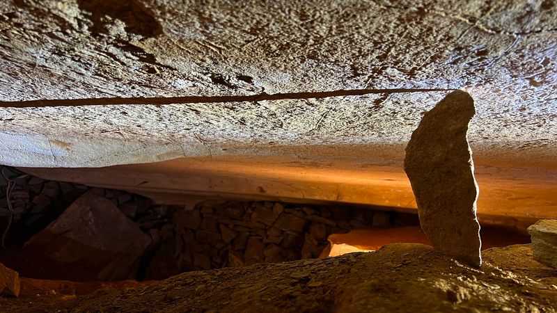 What To Know Before You Go