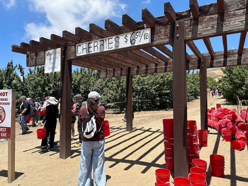 Operating Hours And What To Expect On Arrival