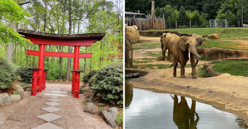 How To Spend One Perfect Day In Birmingham, Alabama Without Missing A Thing