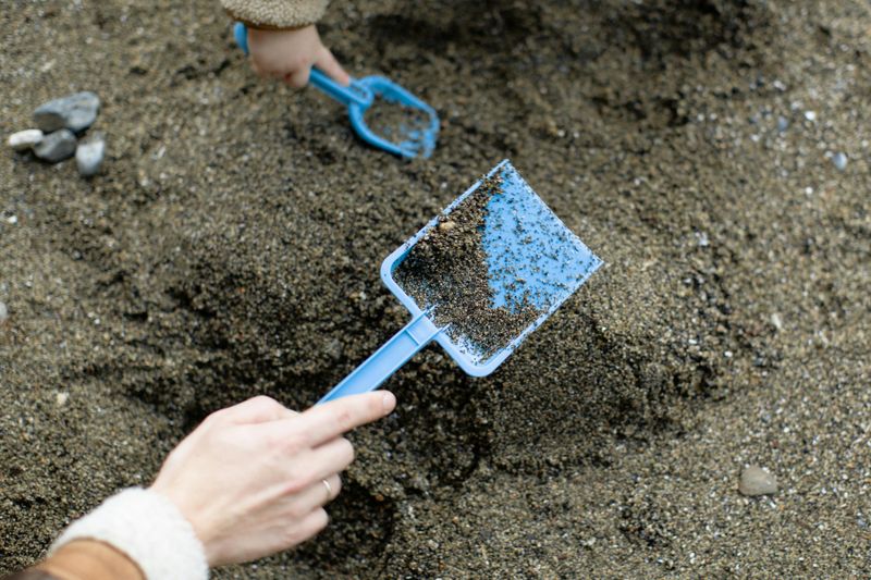 Fossil Dig For Kids