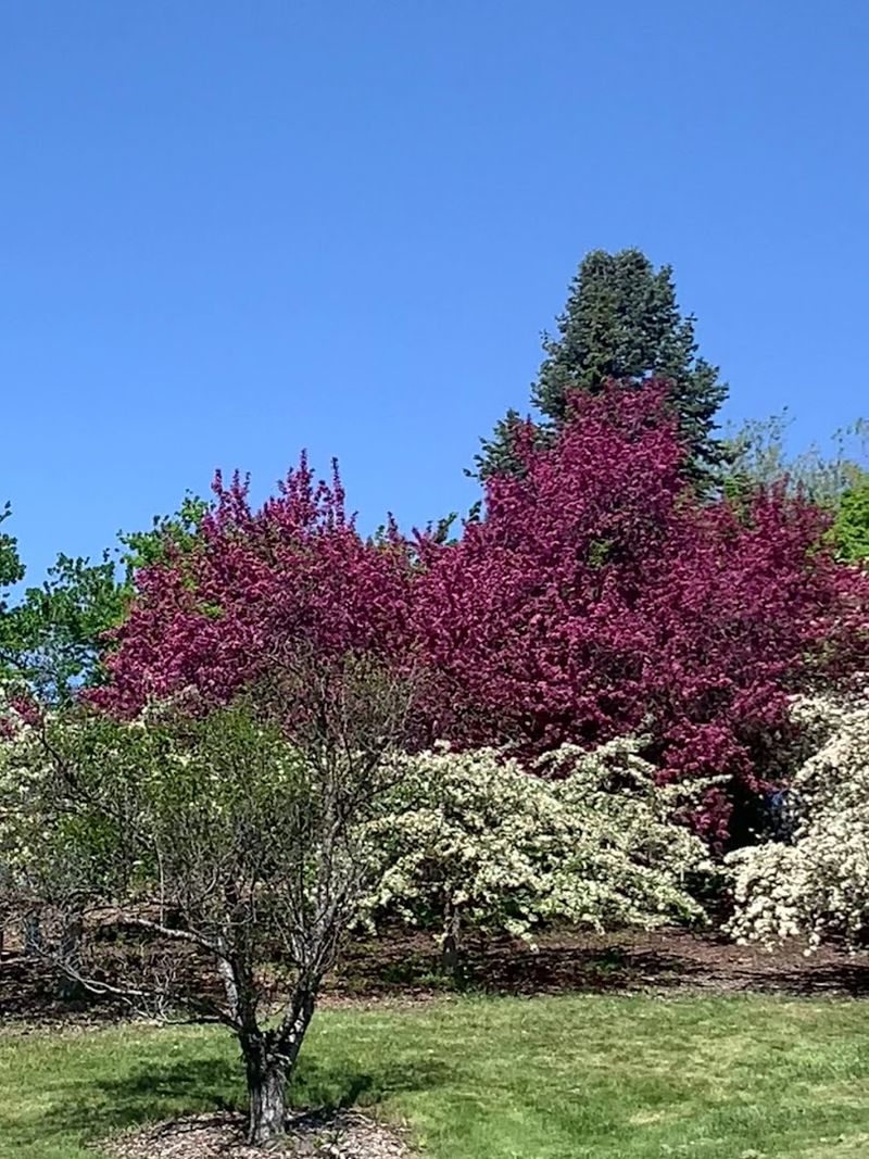 University Of Idaho Arboretum And Botanical Garden