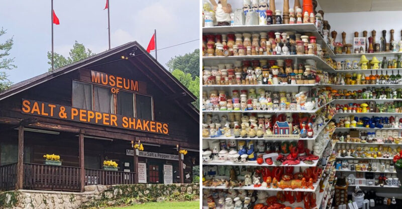In A Log Cabin In Tennessee, One Museum Collects More Salt And Pepper Shakers Than You’d Expect