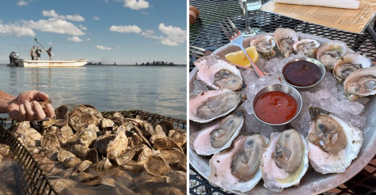 In This Quiet Tidewater Virginia Village Oyster Traditions Still Shape Every Raw Bar - Decor Hint
