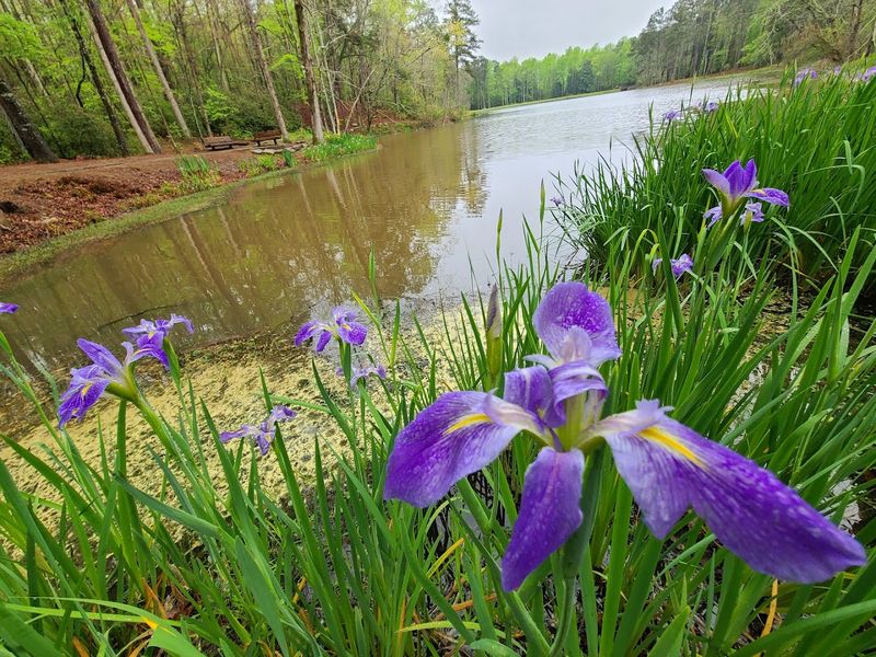 A Living Tribute to Regional Architecture and Craftsmanship