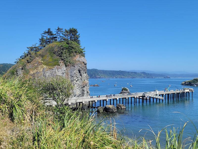 Where Redwoods Meet the Sea in One Uninterrupted View