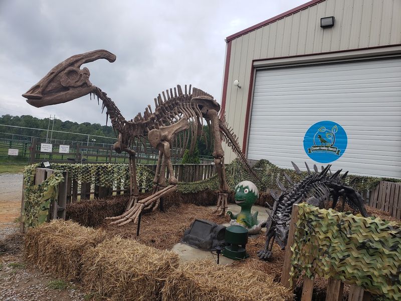 Fossil Museum Gift Shop
