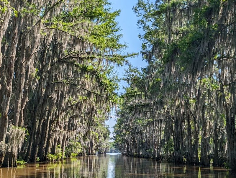 Caddo Lake, Harrison County