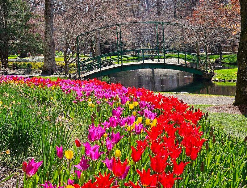 Le Jardin Color Garden