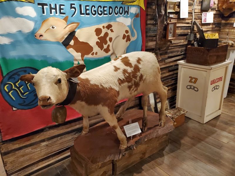 Sideshow History And Rare Memorabilia