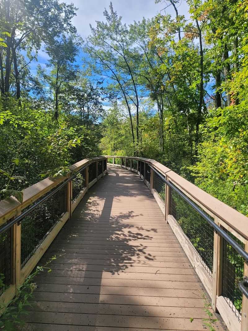 Nature Trails Beyond The Tracks