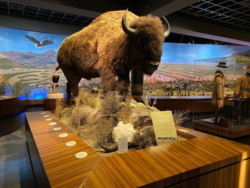 The Jaw-Dropping Automobile Museum In California You've Probably Never Heard Of - Decor Hint The World Of Nature Exhibit Features Over 600 Animal Species
