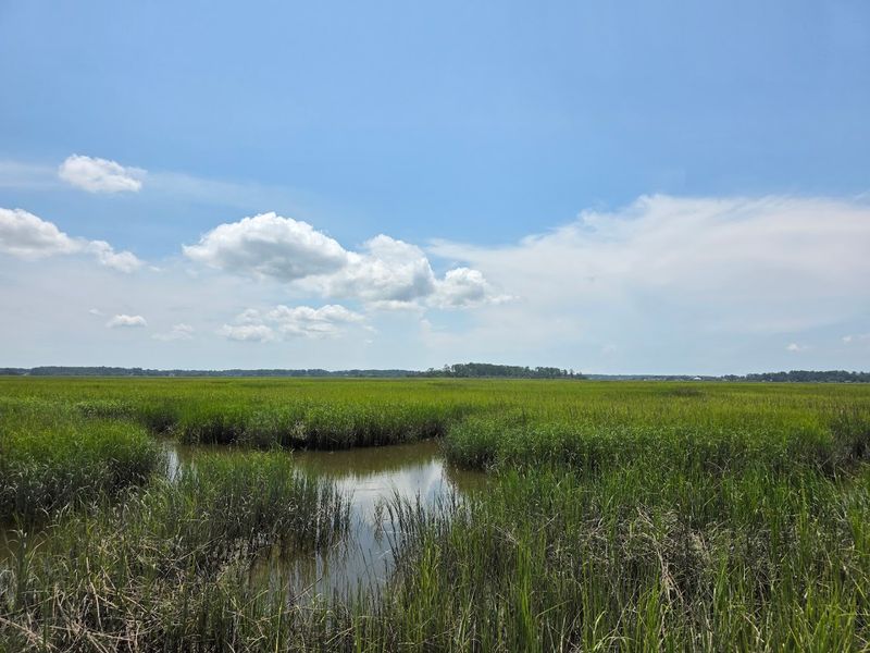 The Drive Out Feels Like Part Of The Experience