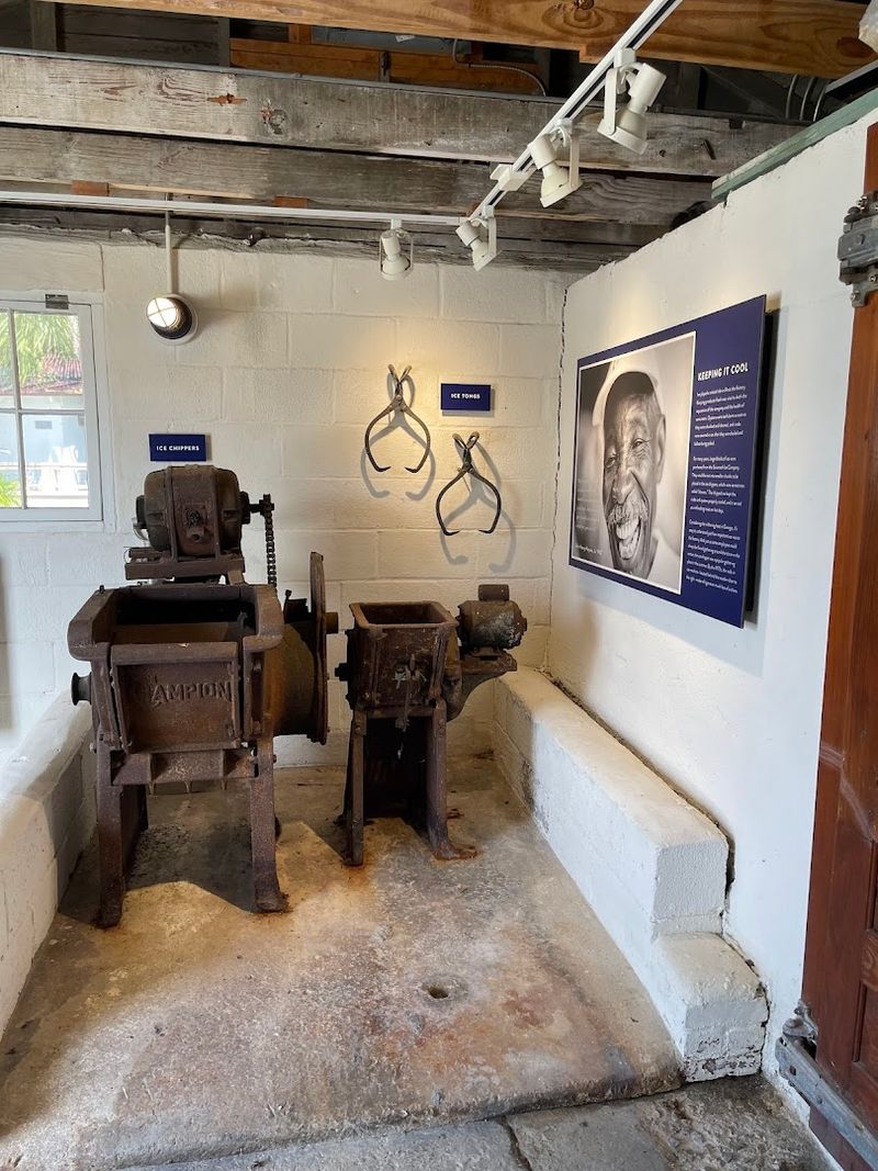 The Museum Highlights A Less Told Savannah Story