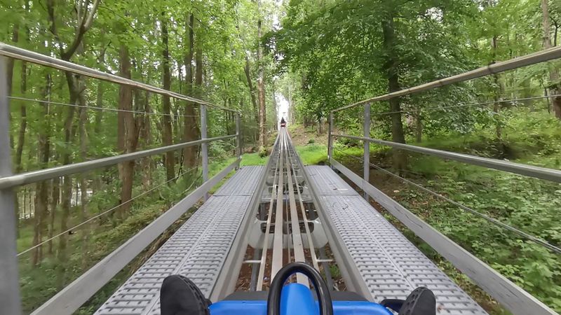 The Experience Feels More Scenic Than A Typical Ride