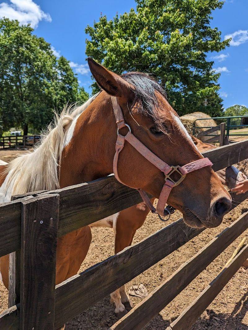 It is a different kind of Georgia memory