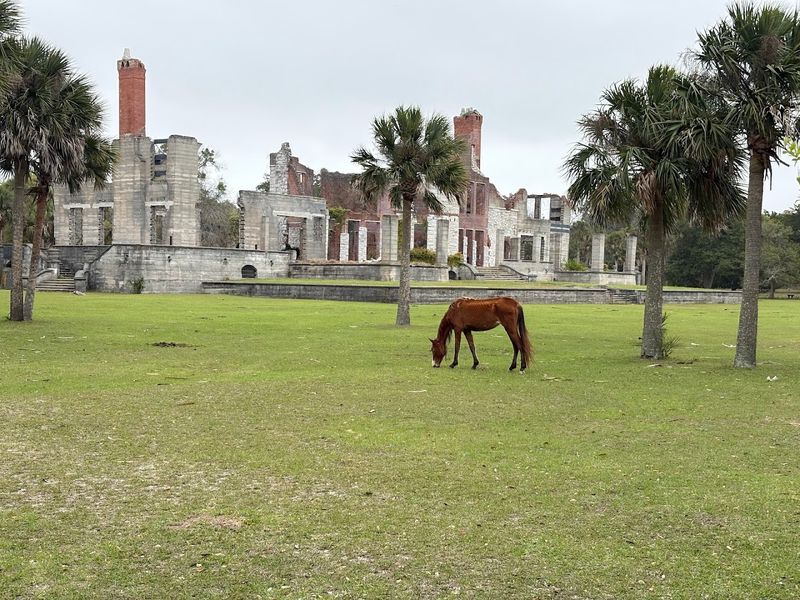 Cumberland Island