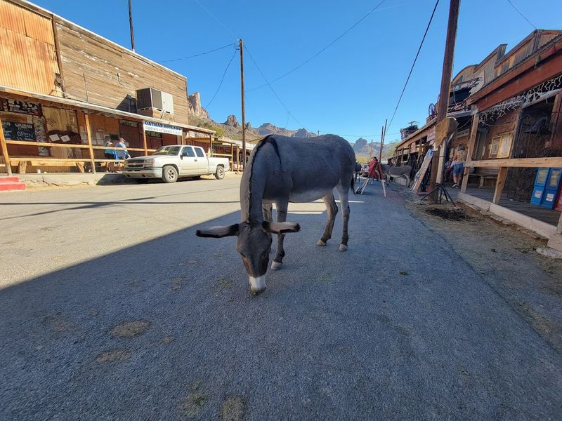 Oatman