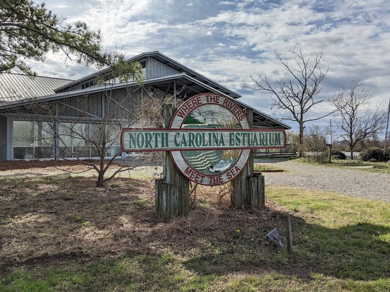 North Carolina Estuarium
