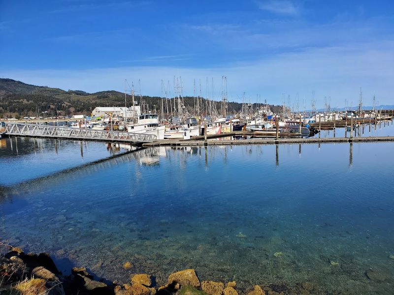 Neah Bay Harbor