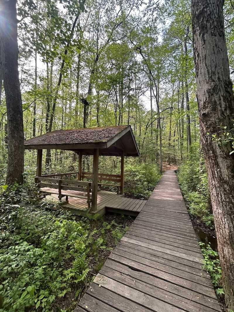 Weymouth Woods-Sandhills Nature Preserve