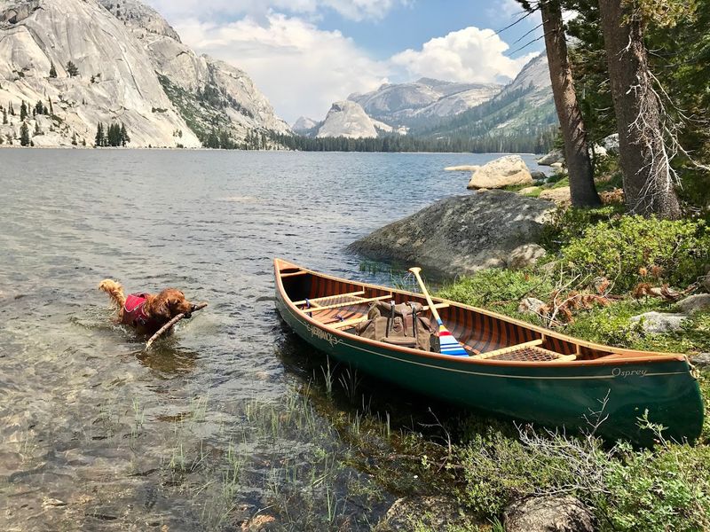 Tenaya Lake, Yosemite National Park