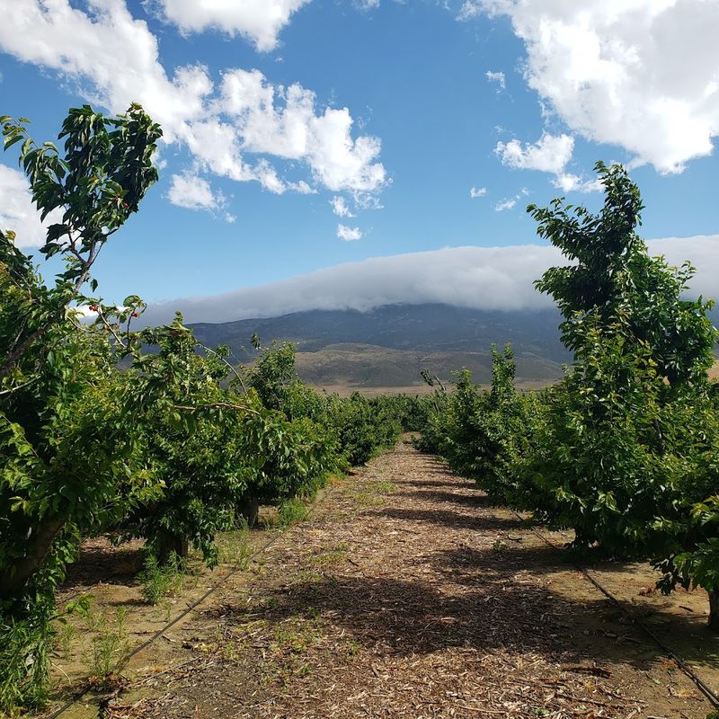 A Family-Owned Farm With Deep Roots In Leona Valley