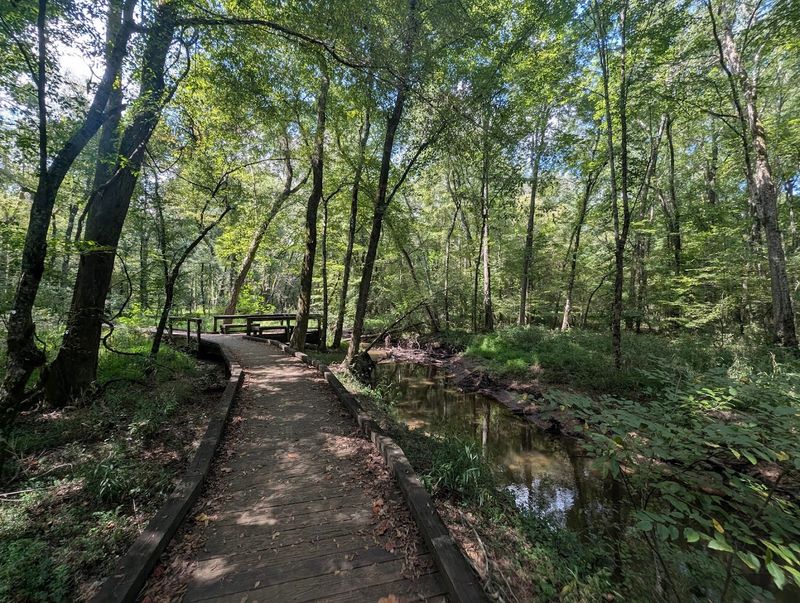 Flat Creek Nature Area
