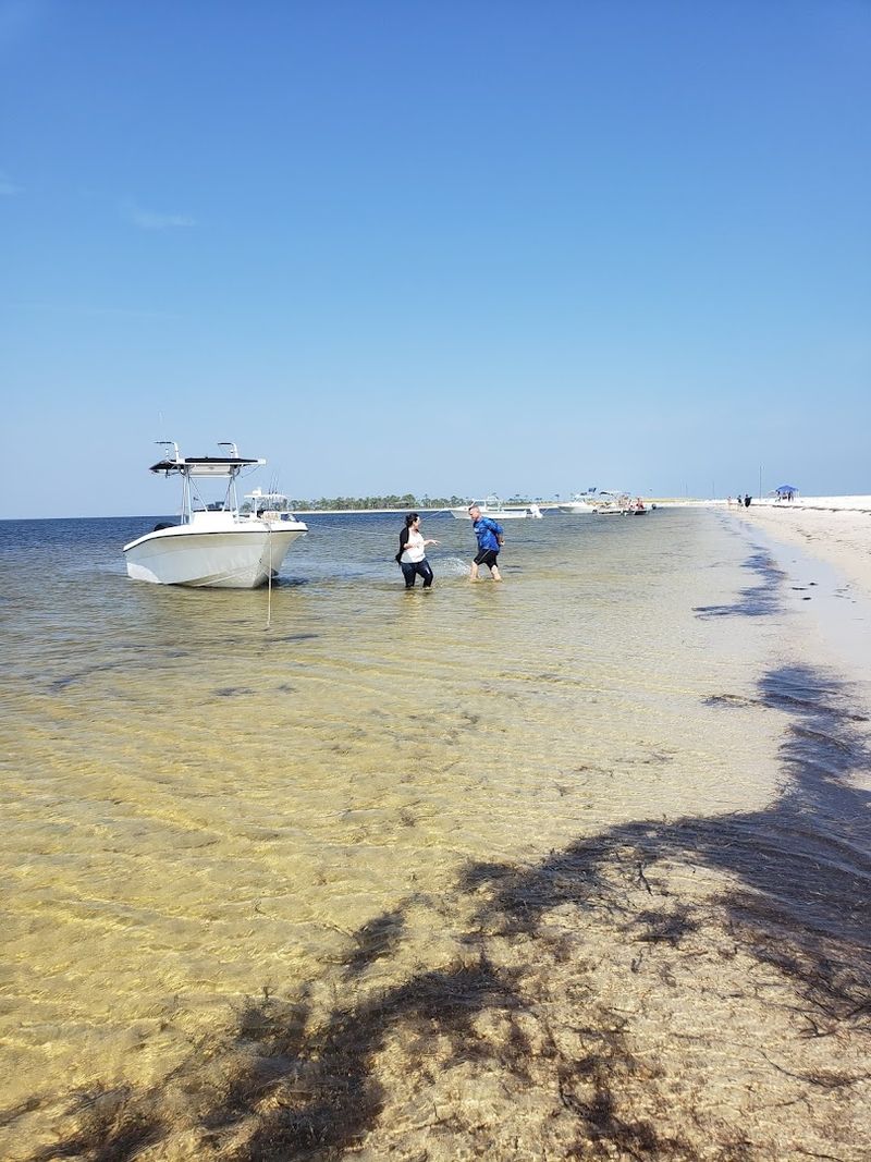 Dog Island