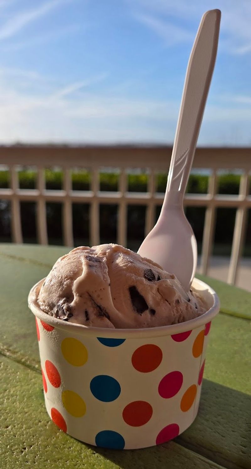 Harbor Scoops