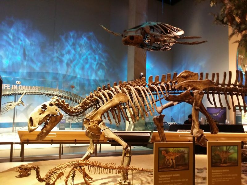 Perot Museum Of Nature And Science