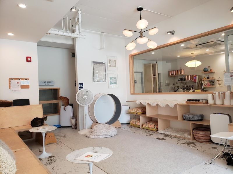 A Loyalty Stamp Program Rewards Returning Visitors