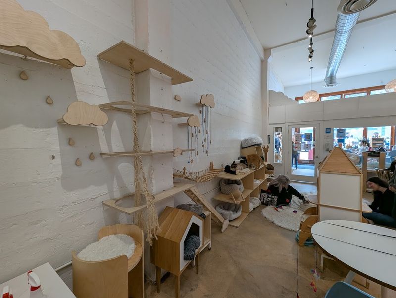 The Lounge Uses Air Purifiers And Self-Cleaning Litter Robots