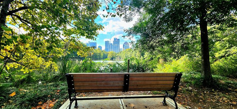 Urban Green Space That Resets the Mind