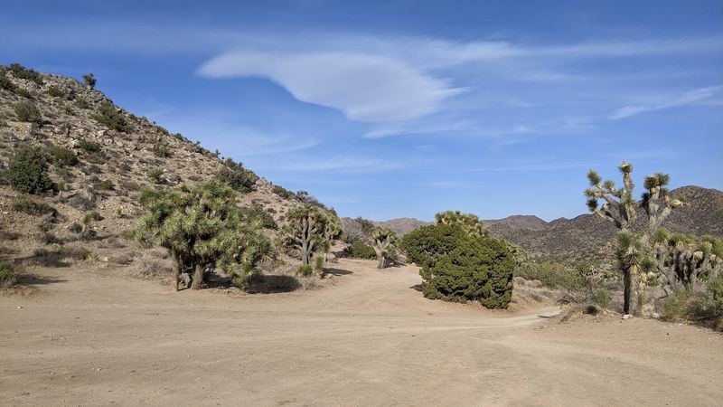 Hi-View Trail, Joshua Tree National Park, Black Rock Area