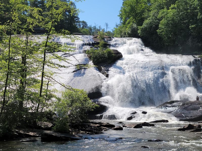 DuPont State Recreational Forest