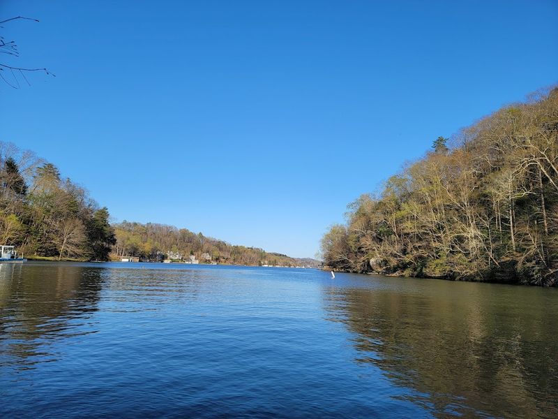 14 Beloved North Carolina Lakes That Keep Locals Coming Back Each Summer - Decor Hint Lake Lure