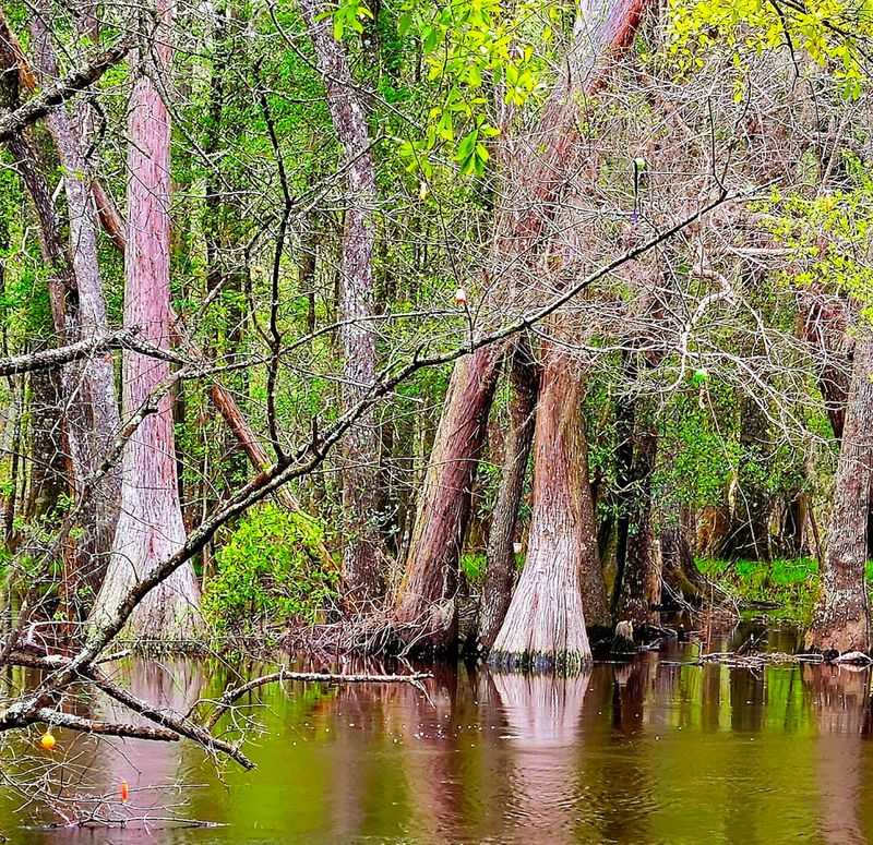 General Coffee State Park