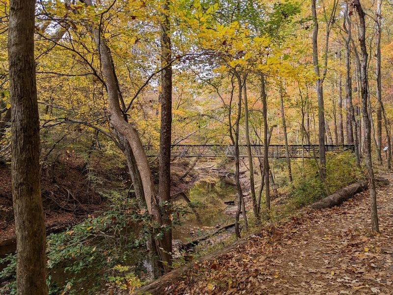 Multiuse Trails At William B. Umstead State Park