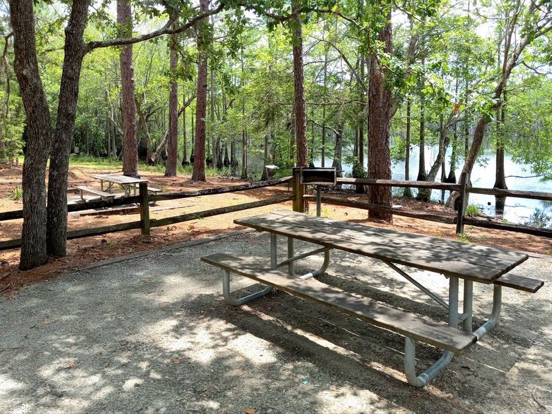This Georgia Swamp Feels Like A Mirror-Covered Cypress Escape - Decor Hint Picnic Shelters with Lake Views