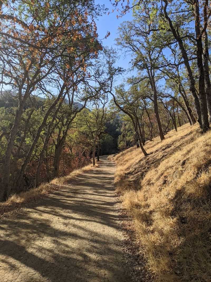 Mount Diablo Summit Trail, Mount Diablo State Park, Clayton