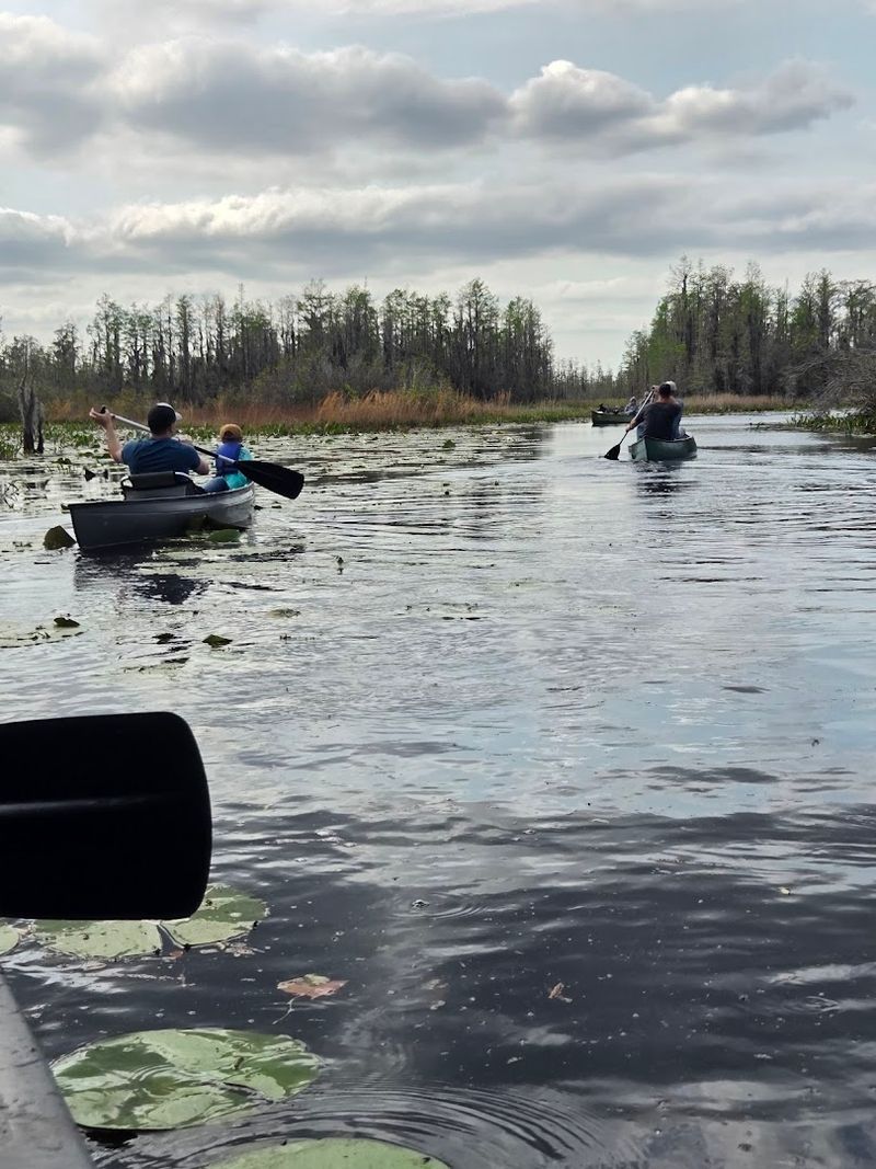 This List Of 16 Georgia Campgrounds Comes With Incredible Coastal Scenery - Decor Hint Okefenokee National Wildlife Refuge Backcountry Camping