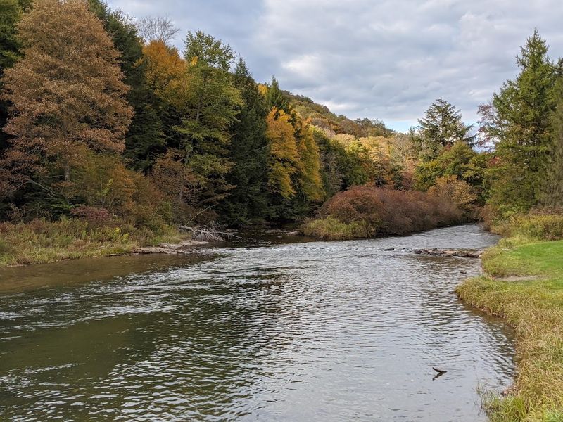 10 Underrated Pennsylvania State Parks That Are Worth The Trip - Decor Hint Bendigo State Park