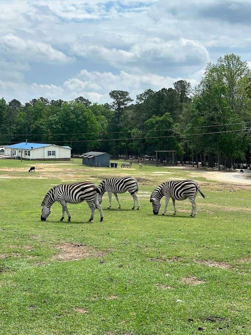 Aloha Safari Park