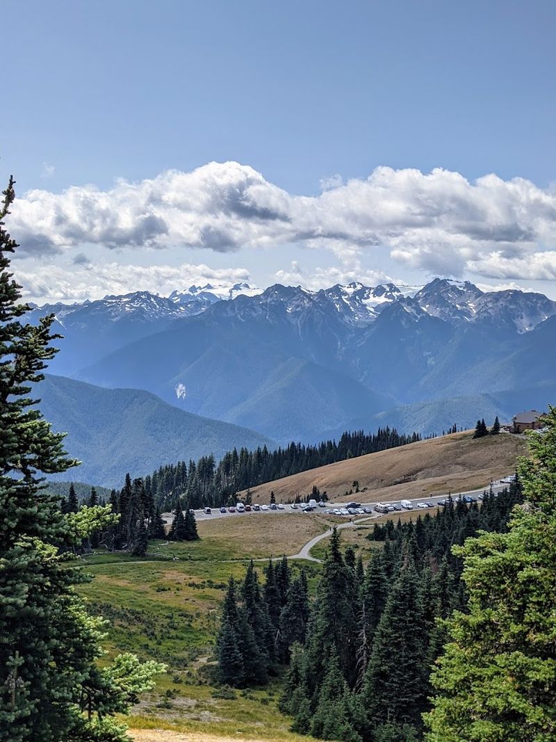 Olympic National Park, Hurricane Ridge