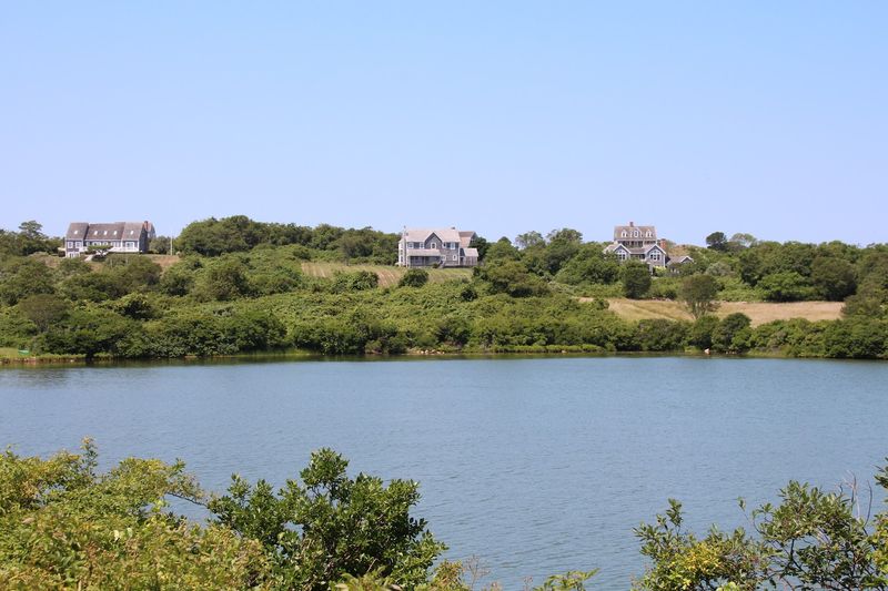 Wildlife And Birding Along The Flyway
