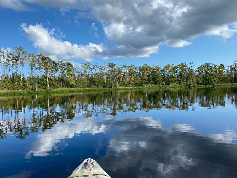 Alligator River National Wildlife Refuge