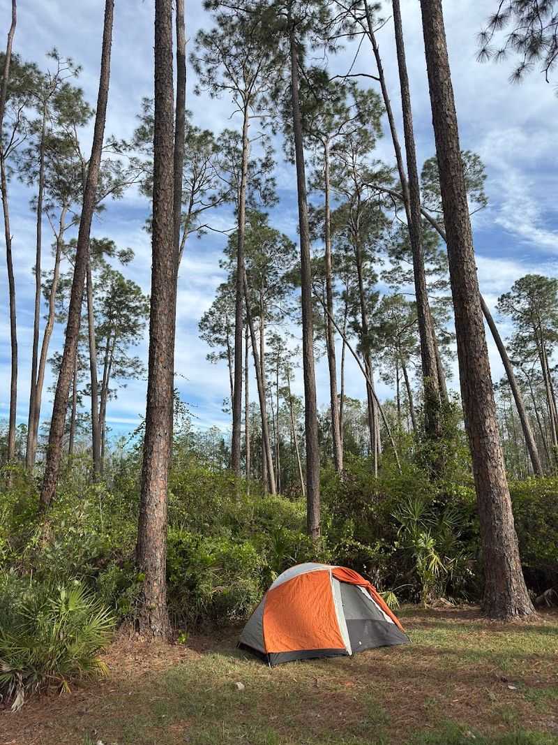 This List Of 16 Georgia Campgrounds Comes With Incredible Coastal Scenery - Decor Hint Stephen C. Foster State Park