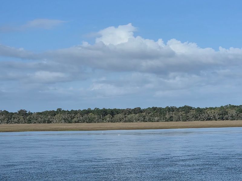 Cumberland Island National Seashore