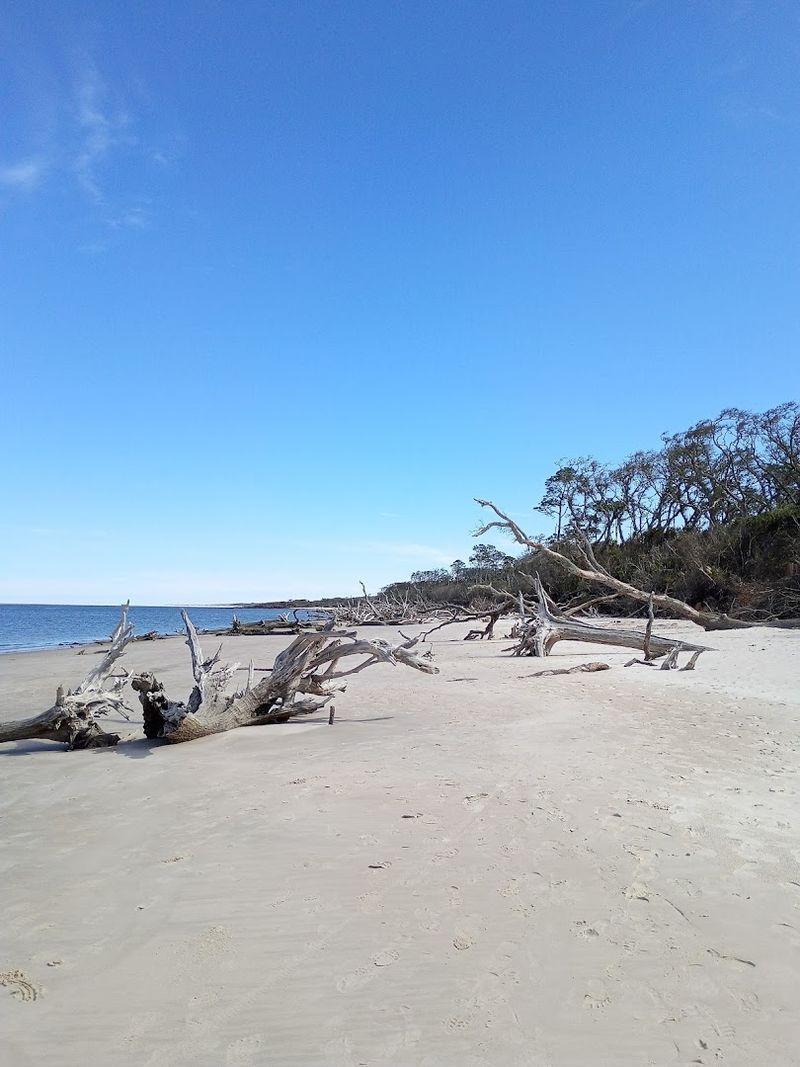 12 Florida Beaches Where You Can Escape The Crowds - Decor Hint Boneyard Beach